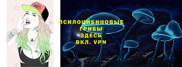 прущие грибы Богородицк