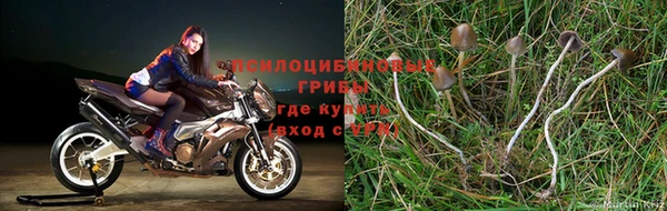 скорость Кодинск